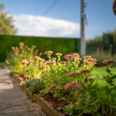 펜션 Le Temps D'un Souffle - Rural 3 Epis *