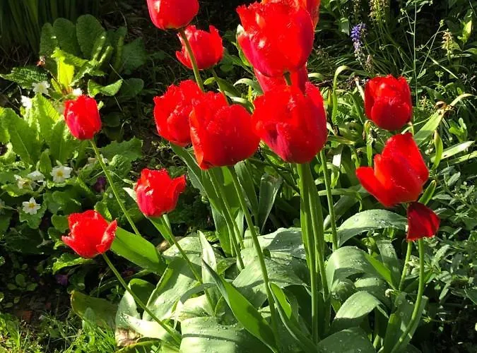 Le Temps D'un Souffle - Rural 3 Epis Sivry-Rance