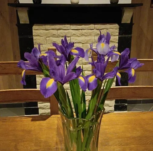 Le Temps D'un Souffle - Rural 3 Epis Holiday home *