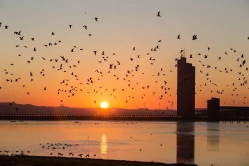 Le Temps D'un Souffle - Rural 3 Epis *